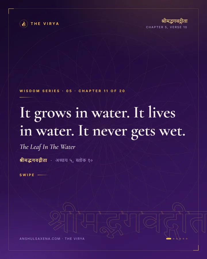 The Leaf In The Water, card 1 of 6