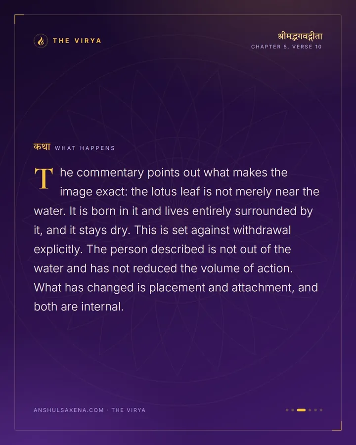 The Leaf In The Water, card 3 of 6