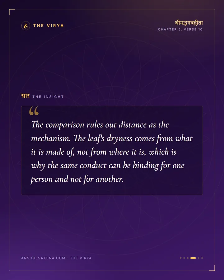 The Leaf In The Water, card 4 of 6