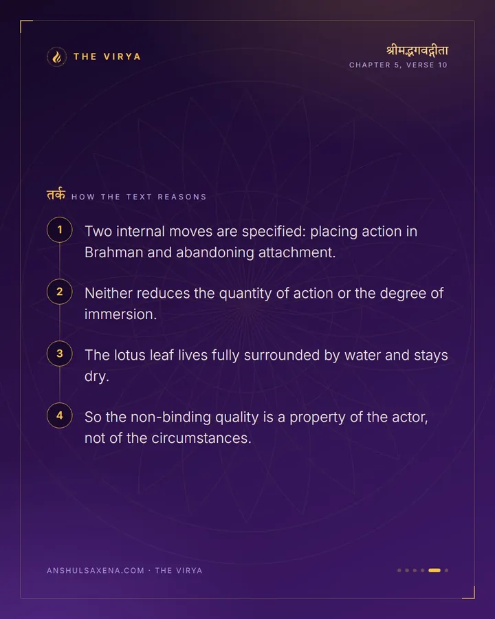 The Leaf In The Water, card 5 of 6