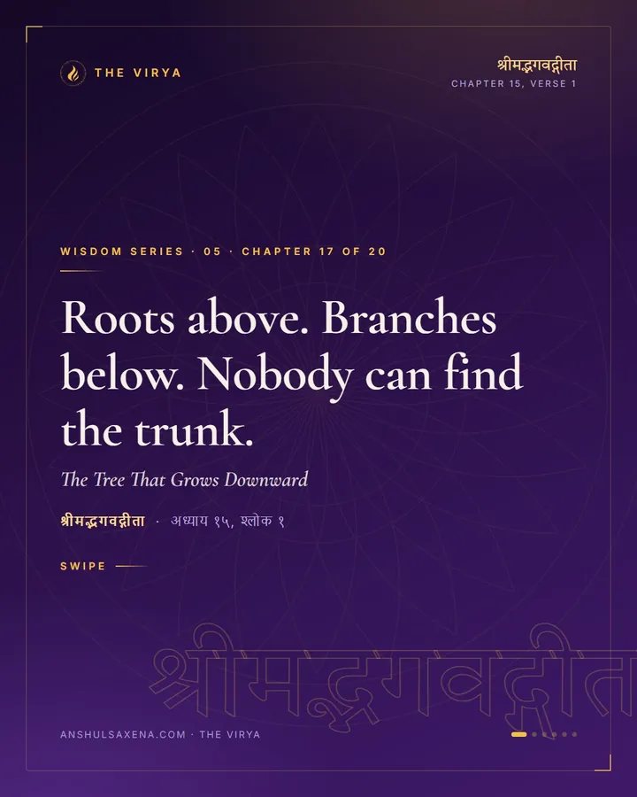 The Tree That Grows Downward, card 1 of 6