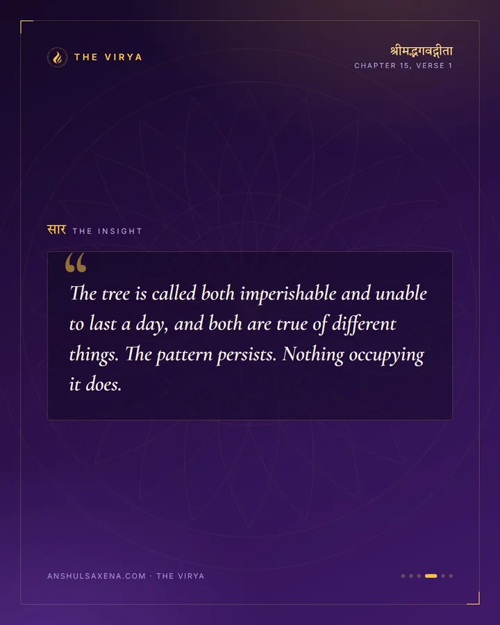 The Tree That Grows Downward, card 4 of 6