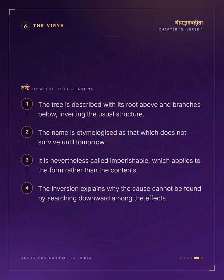 The Tree That Grows Downward, card 5 of 6