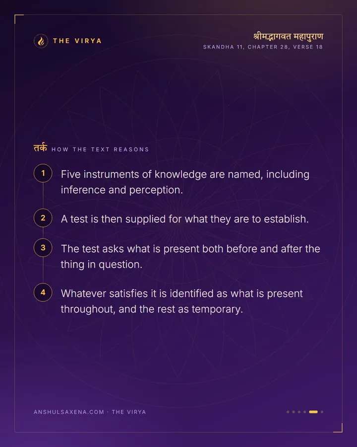 What Is There At Both Ends Is There In The Middle, card 5 of 6