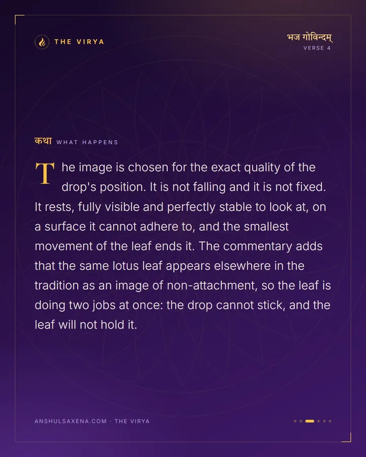 A Drop On A Lotus Leaf, card 3 of 6