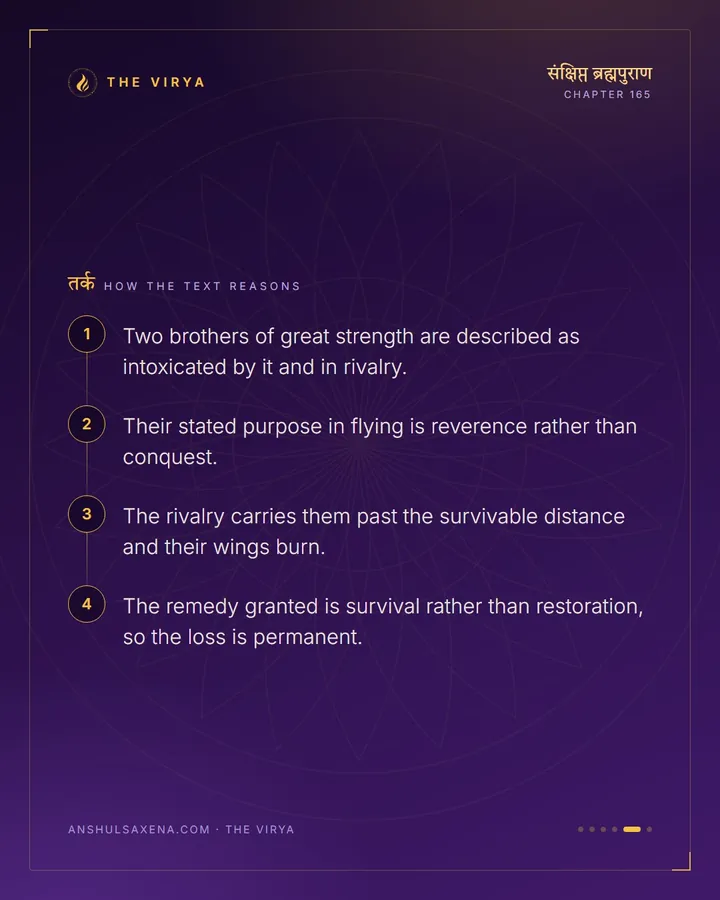 Two Brothers Fly At The Sun, card 5 of 6