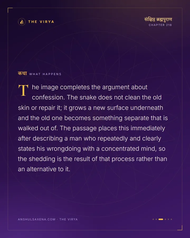 Like A Snake Leaving Its Skin, card 3 of 6