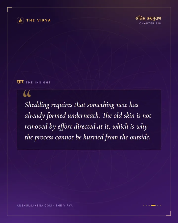 Like A Snake Leaving Its Skin, card 4 of 6