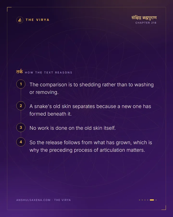 Like A Snake Leaving Its Skin, card 5 of 6