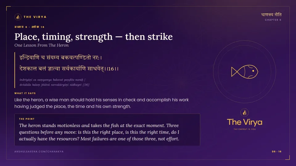 6.16, One Lesson From The Heron: Place, timing, strength, then strike