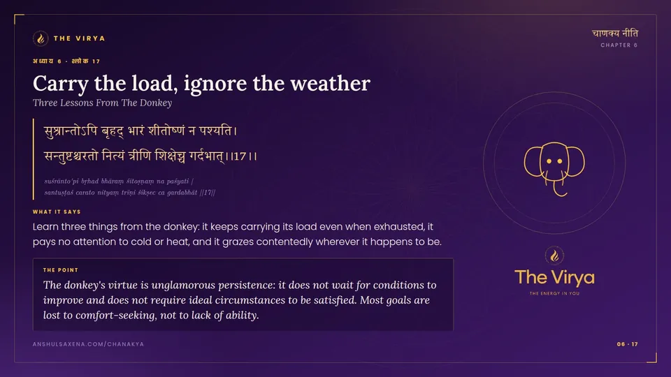 6.17, Three Lessons From The Donkey: Carry the load, ignore the weather