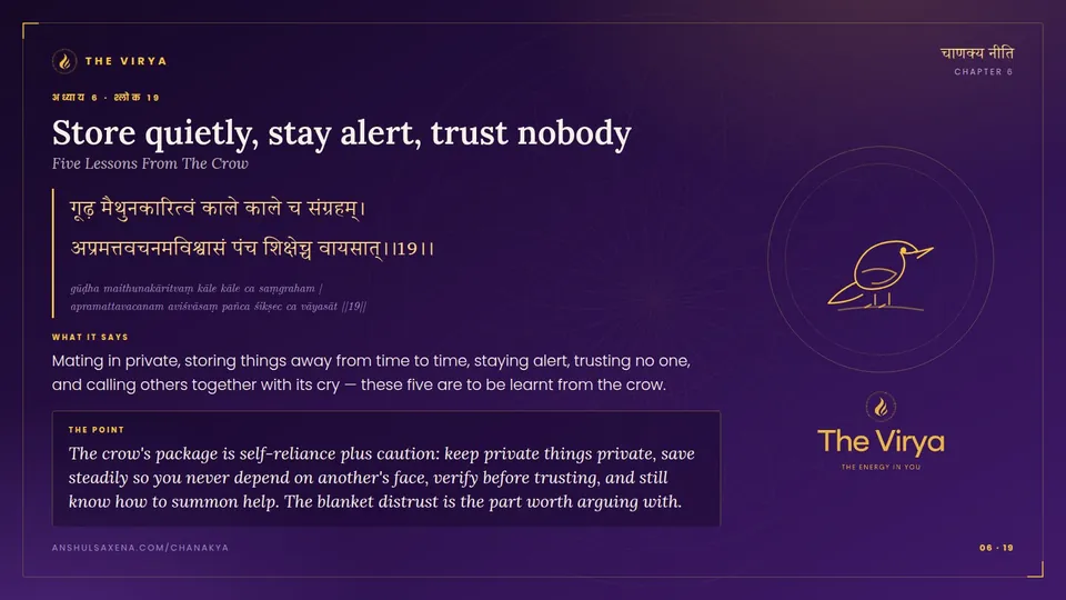 6.19, Five Lessons From The Crow: Store quietly, stay alert, trust nobody