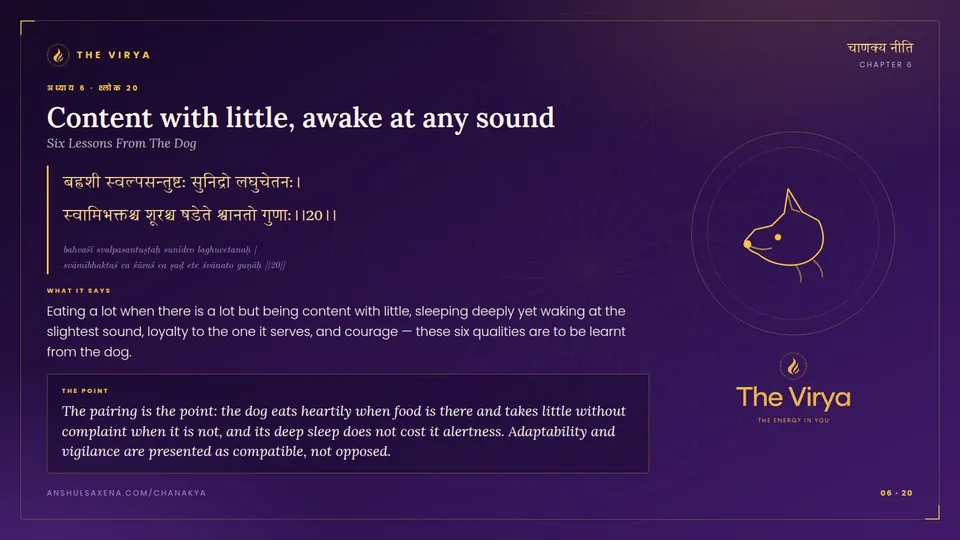 6.20, Six Lessons From The Dog: Content with little, awake at any sound