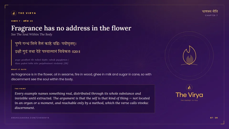7.20, See The Soul Within The Body: Fragrance has no address in the flower