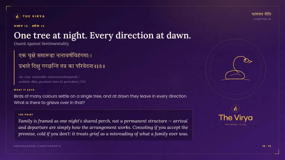 10.15, Guard Against Sentimentality: One tree at night. Every direction at dawn