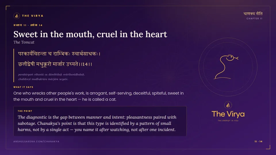 11.14, The Tomcat: Sweet in the mouth, cruel in the heart