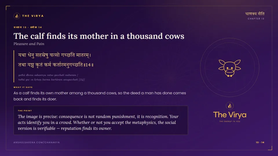 13.14, Pleasure and Pain: The calf finds its mother in a thousand cows