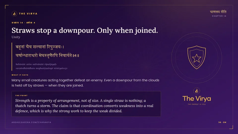 14.4, Unity: Straws stop a downpour. Only when joined