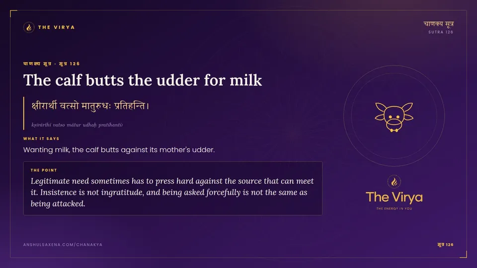 सूत्र 126, The calf butts the udder for milk: The calf butts the udder for milk