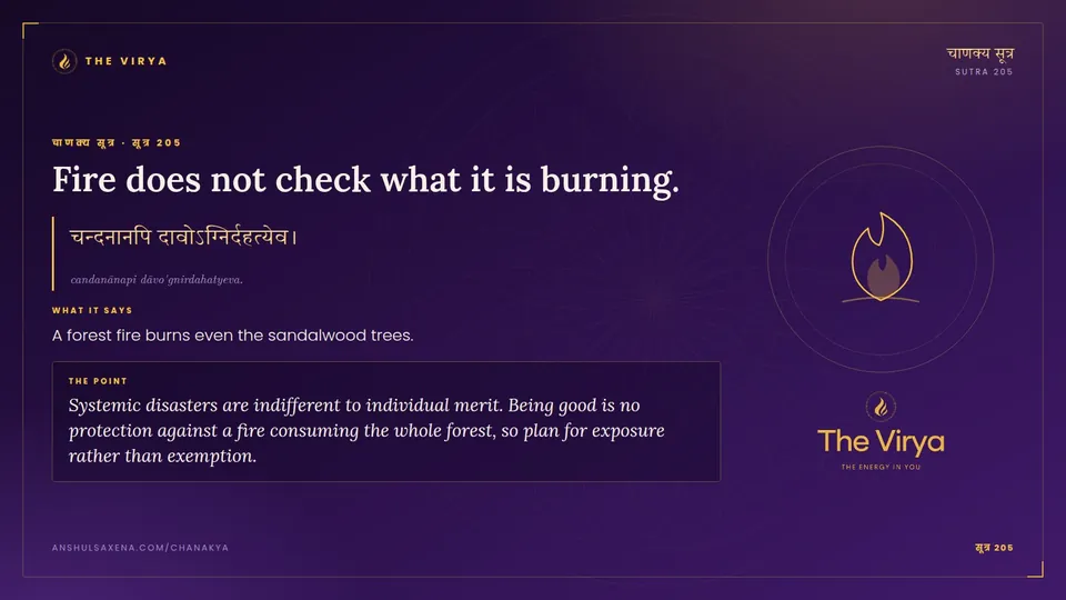 सूत्र 205, Fire does not check what it is burning.: Fire does not check what it is burning