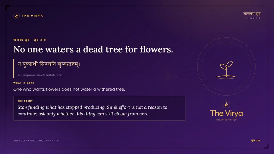 सूत्र 318, No one waters a dead tree for flowers.: No one waters a dead tree for flowers