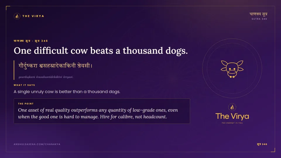 सूत्र 346, One difficult cow beats a thousand dogs.: One difficult cow beats a thousand dogs