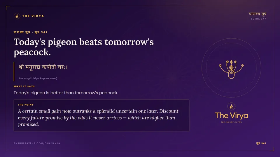 सूत्र 347, Today's pigeon beats tomorrow's peacock.: Today's pigeon beats tomorrow's peacock