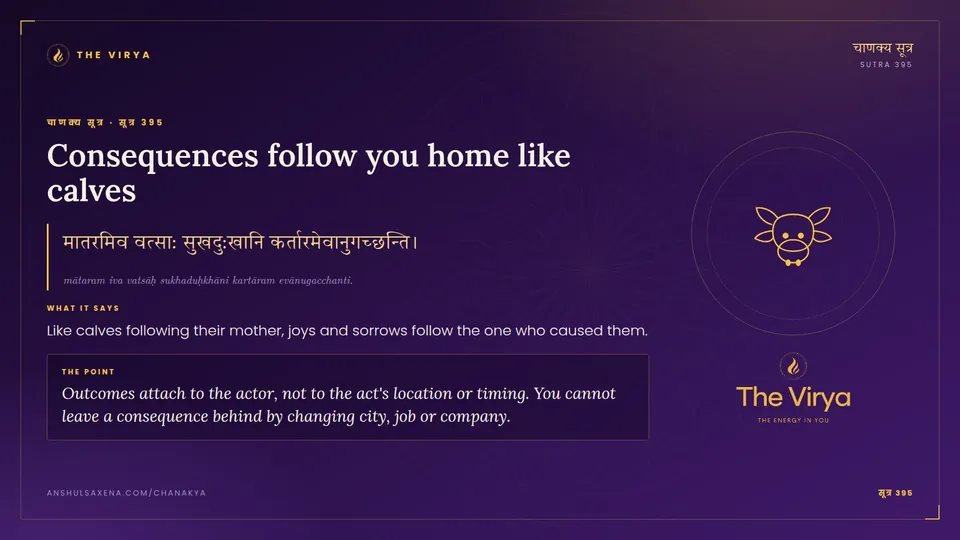 सूत्र 395, Consequences follow you home like calves: Consequences follow you home like calves