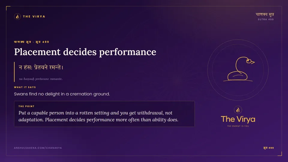 सूत्र 499, Placement decides performance: Placement decides performance