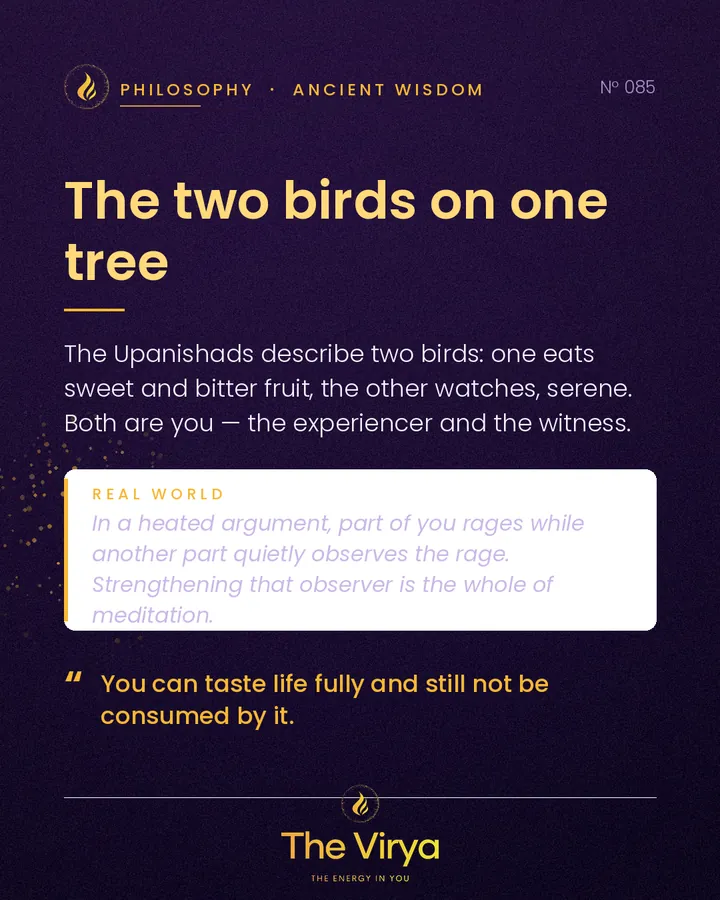 The two birds on one tree
