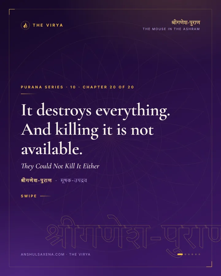 They Could Not Kill It Either, card 1 of 6