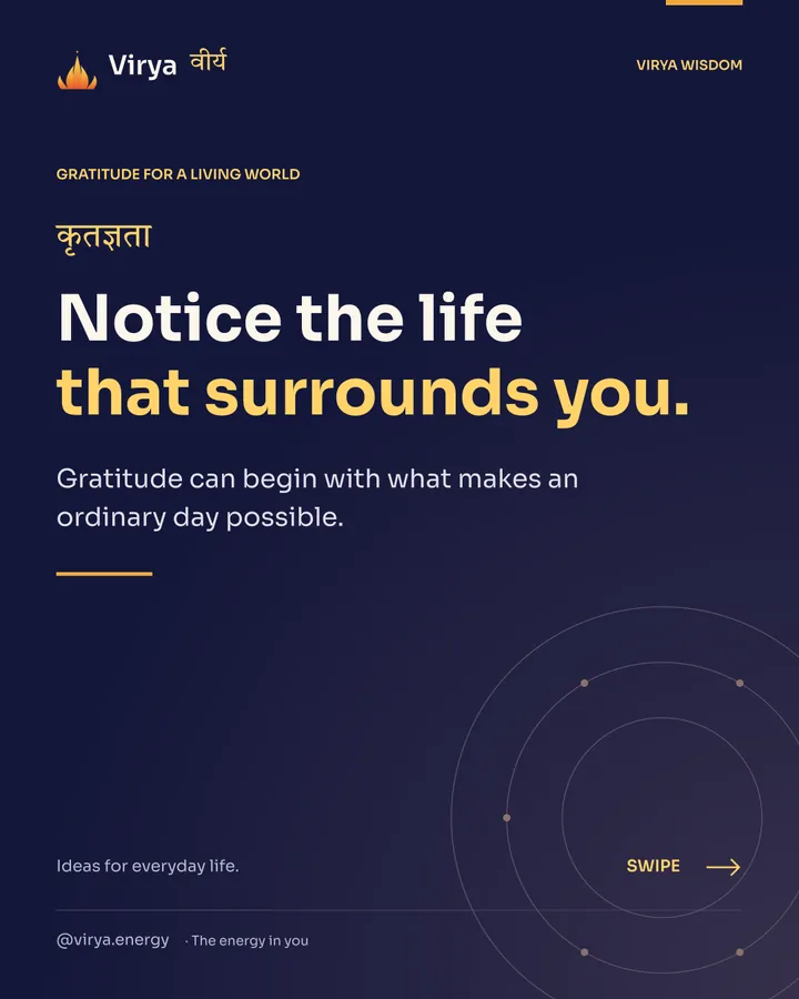Notice the life that surrounds you. Gratitude can begin with what makes an ordinary day possible.