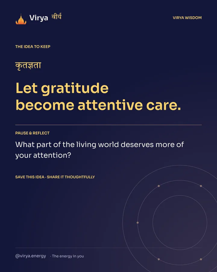 Indigo Virya closing card. Let gratitude become attentive care. Reflection question: What part of the living world deserves more of your attention?