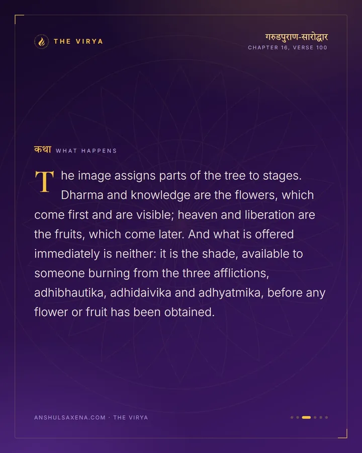 Sit In The Shade Of That Tree, card 3 of 6