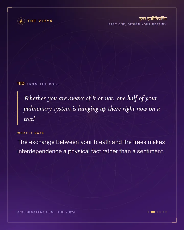 Half Your Lungs Are In A Tree, card 2 of 6