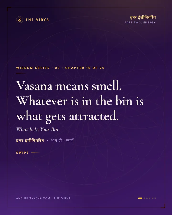 What Is In Your Bin, card 1 of 6