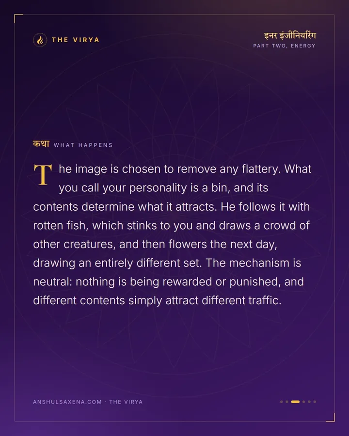 What Is In Your Bin, card 3 of 6