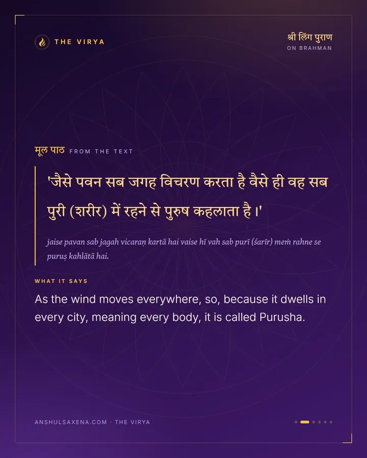 Because It Lives In Every City, card 2 of 6