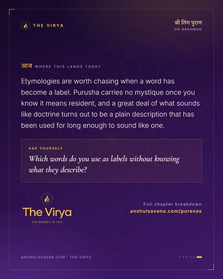 Because It Lives In Every City, card 6 of 6