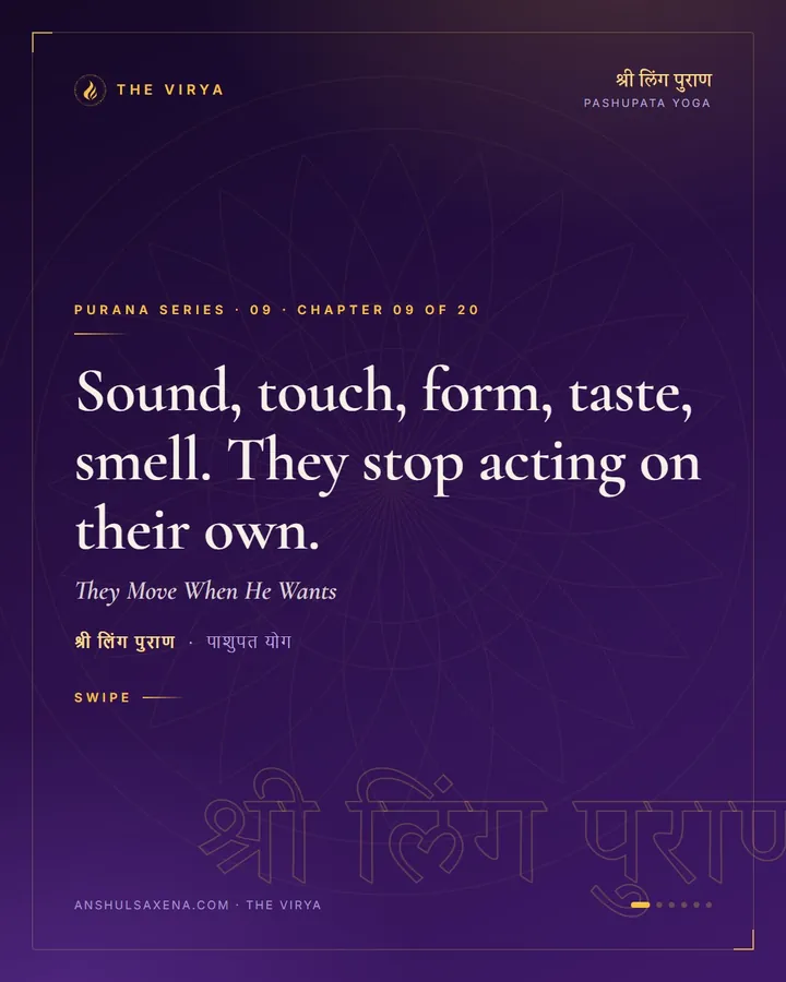 They Move When He Wants, card 1 of 6