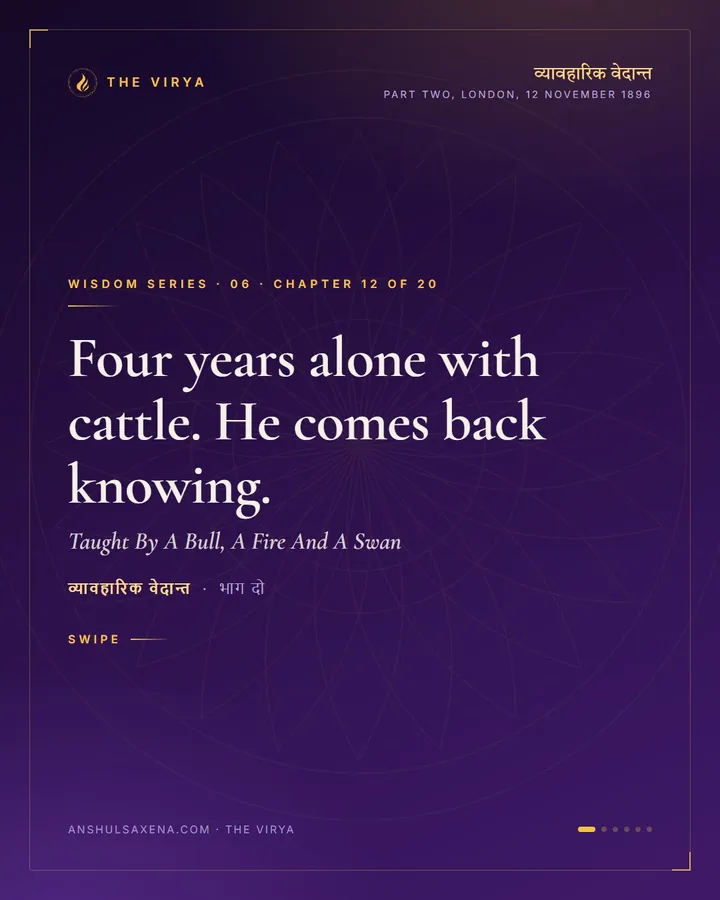 Taught By A Bull, A Fire And A Swan, card 1 of 6