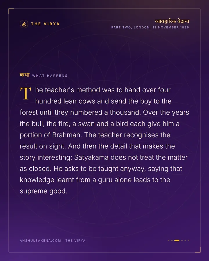 Taught By A Bull, A Fire And A Swan, card 3 of 6