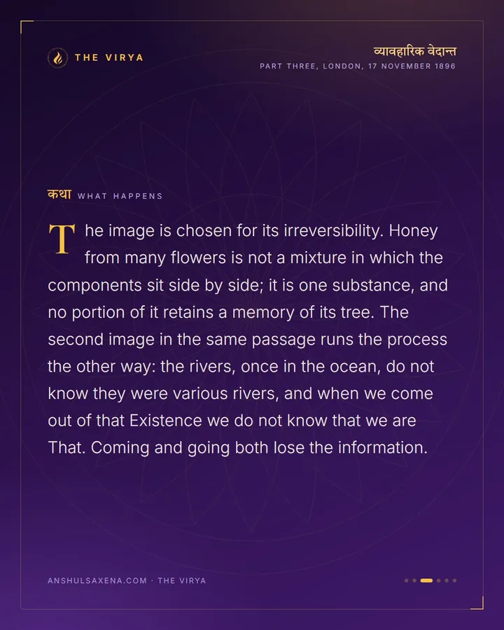 The Honey Does Not Remember The Flowers, card 3 of 6