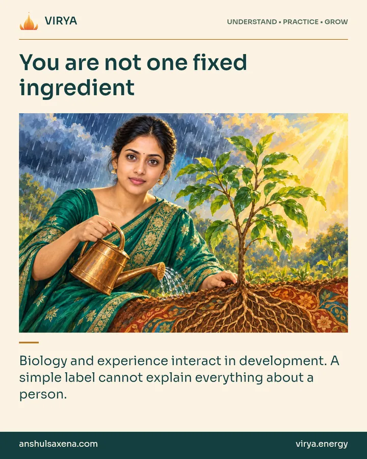 Painting of the recurring young adult Indian woman in an embroidered silk saree, illustrating nature and nurture. You are not one fixed ingredient. Biology and experience interact in development. A simple label cannot explain everything about a person.