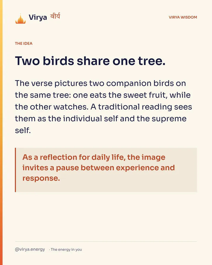 Two birds share one tree. The verse pictures two companion birds on the same tree: one eats the sweet fruit, while the other watches. A traditional reading sees them as the individual self and the supreme self. As a reflection for daily life, the image invites a pause between experience and response.
