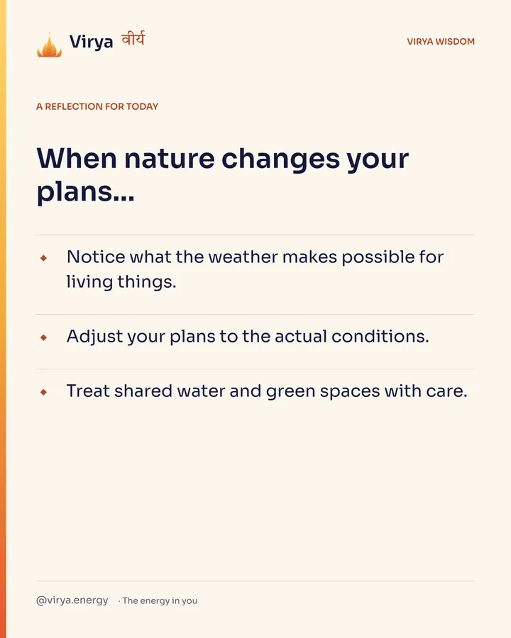Ivory Virya card, a reflection for today. When nature changes your plans… Notice what the weather makes possible for living things. Adjust your plans to the actual conditions. Treat shared water and green spaces with care.