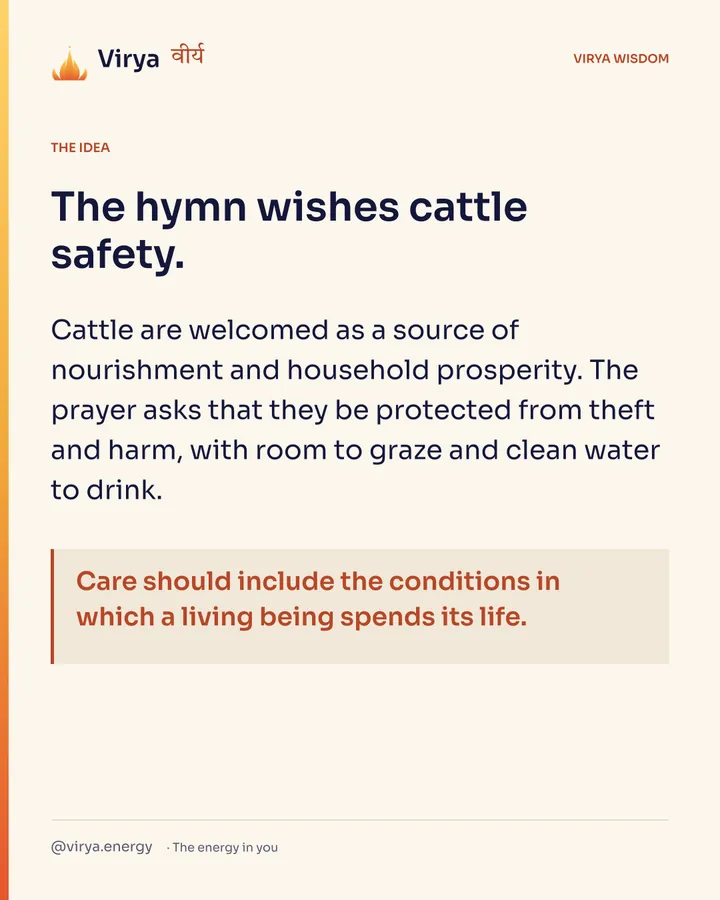 The hymn wishes cattle safety. Cattle are welcomed as a source of nourishment and household prosperity. The prayer asks that they be protected from theft and harm, with room to graze and clean water to drink. Care should include the conditions in which a living being spends its life.