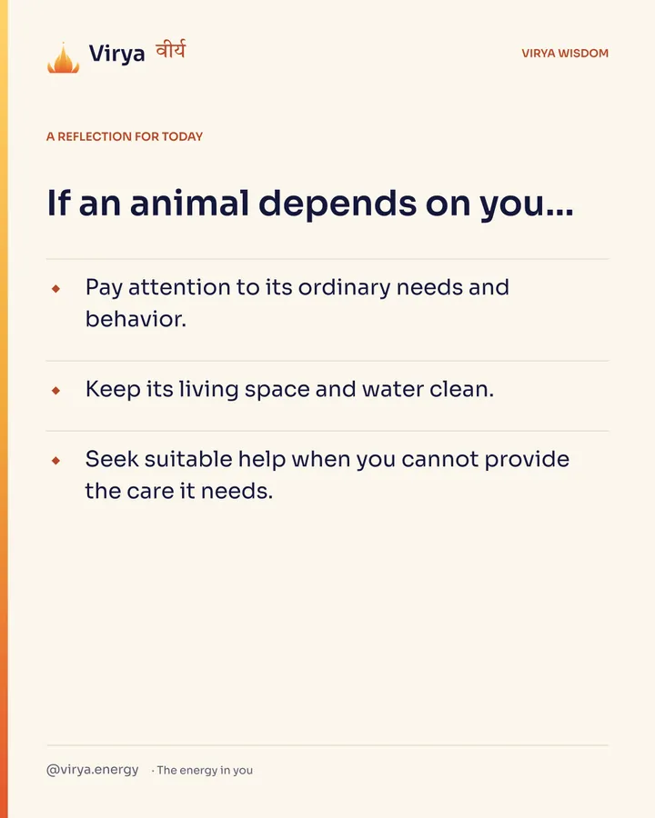 Ivory Virya card, a reflection for today. If an animal depends on you… Pay attention to its ordinary needs and behavior. Keep its living space and water clean. Seek suitable help when you cannot provide the care it needs.