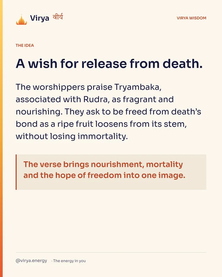 A wish for release from death. The worshipers praise Tryambaka, associated with Rudra, as fragrant and nourishing. They ask to be freed from death’s bond as a ripe fruit loosens from its stem, without losing immortality. The verse brings nourishment, mortality and the hope of freedom into one image.