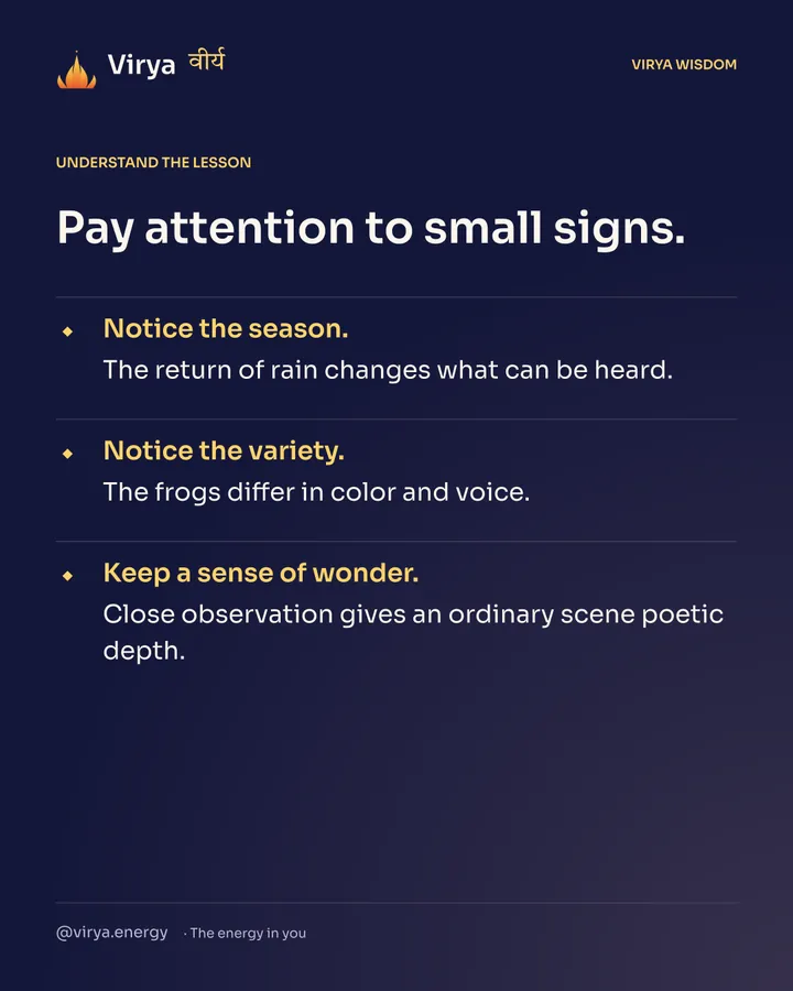Pay attention to small signs. Notice the season. The return of rain changes what can be heard. Notice the variety. The frogs differ in color and voice. Keep a sense of wonder. Close observation gives an ordinary scene poetic depth.